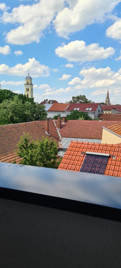 Charlotte Piata Unirii - Free Private Parking 2Bedrooms Apartment أرادايا المظهر الخارجي الصورة