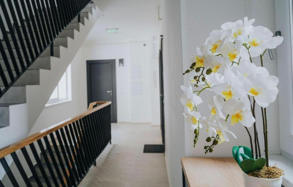 Charlotte Piata Unirii - Free Private Parking 2Bedrooms Apartment أرادايا المظهر الخارجي الصورة